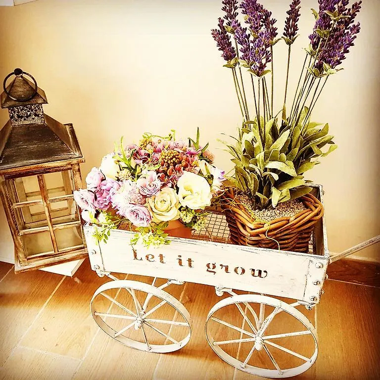 Romantic Dreams Bed & Breakfast